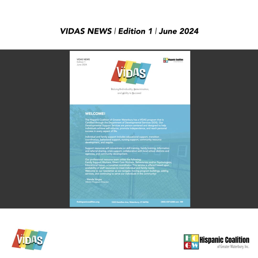 A picture of the cover page of vidas news.